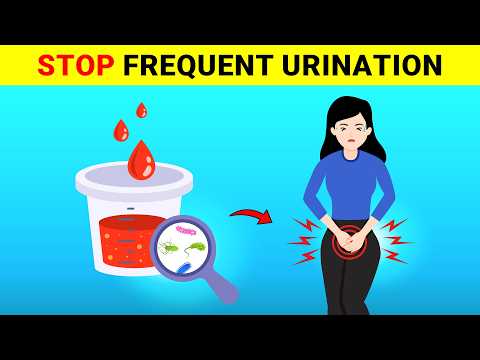 Urinating Every 2 Hours? Kidney Concerns, Home Remedies, and More