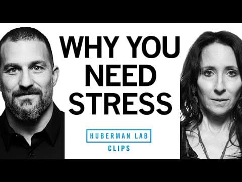 Why You Need Stress in Your Life | Dr. Elissa Epel & Dr. Andrew Huberman